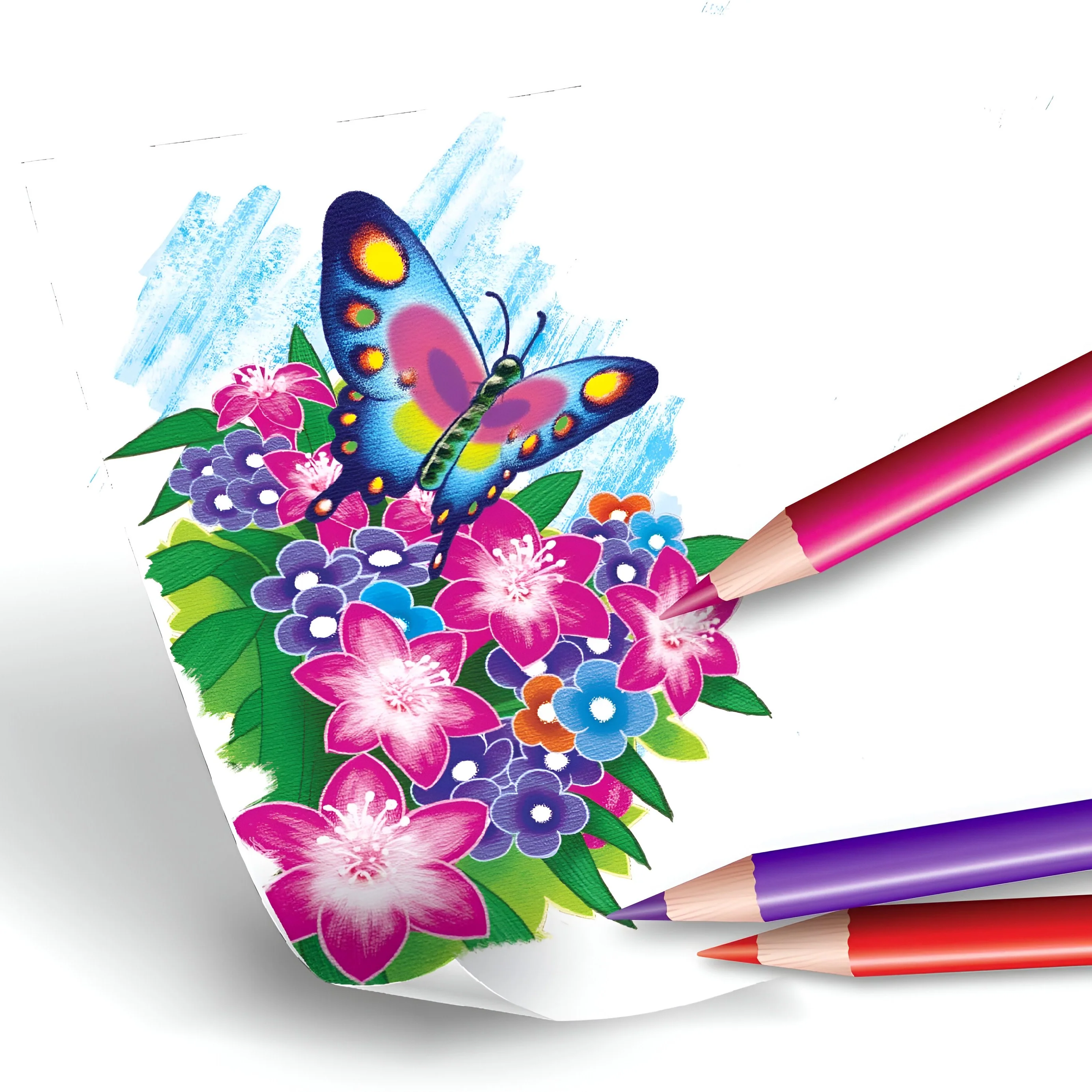 Imagen del producto 4